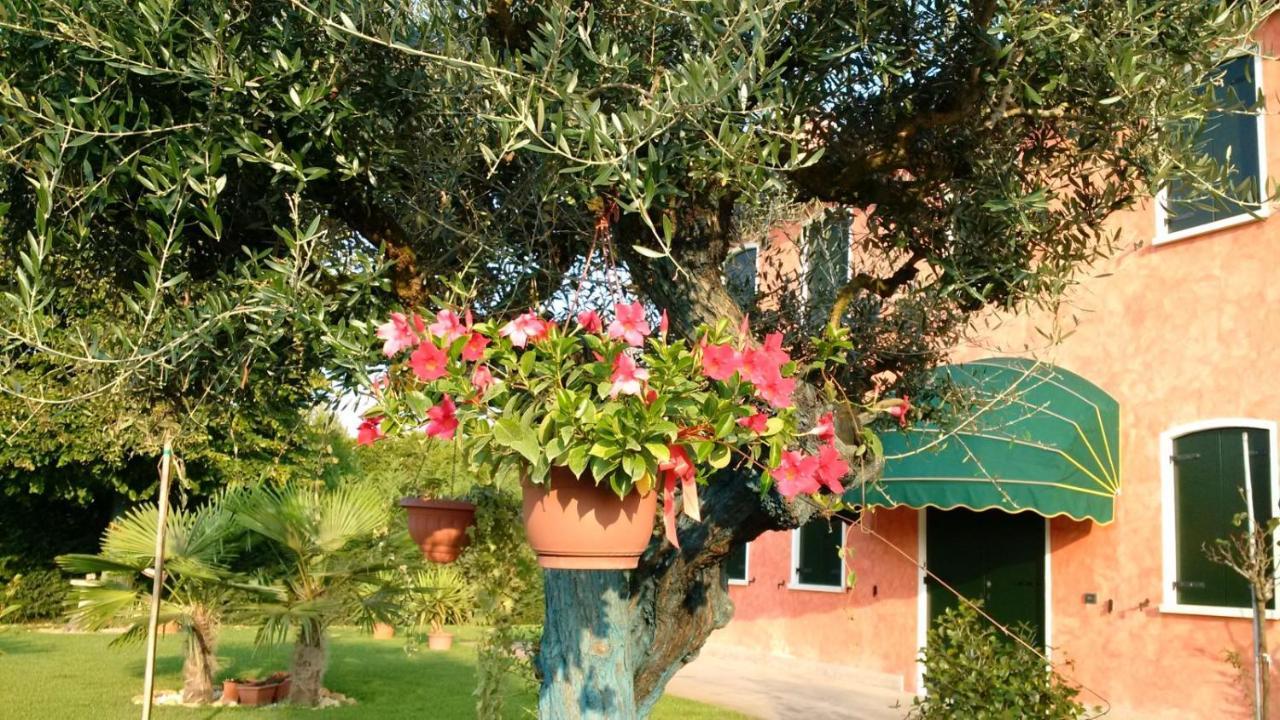 Il Farfasole Bed and Breakfast Vigonovo  Exteriör bild